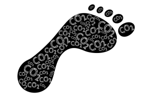 footprint-g4c6a1fad7_1280